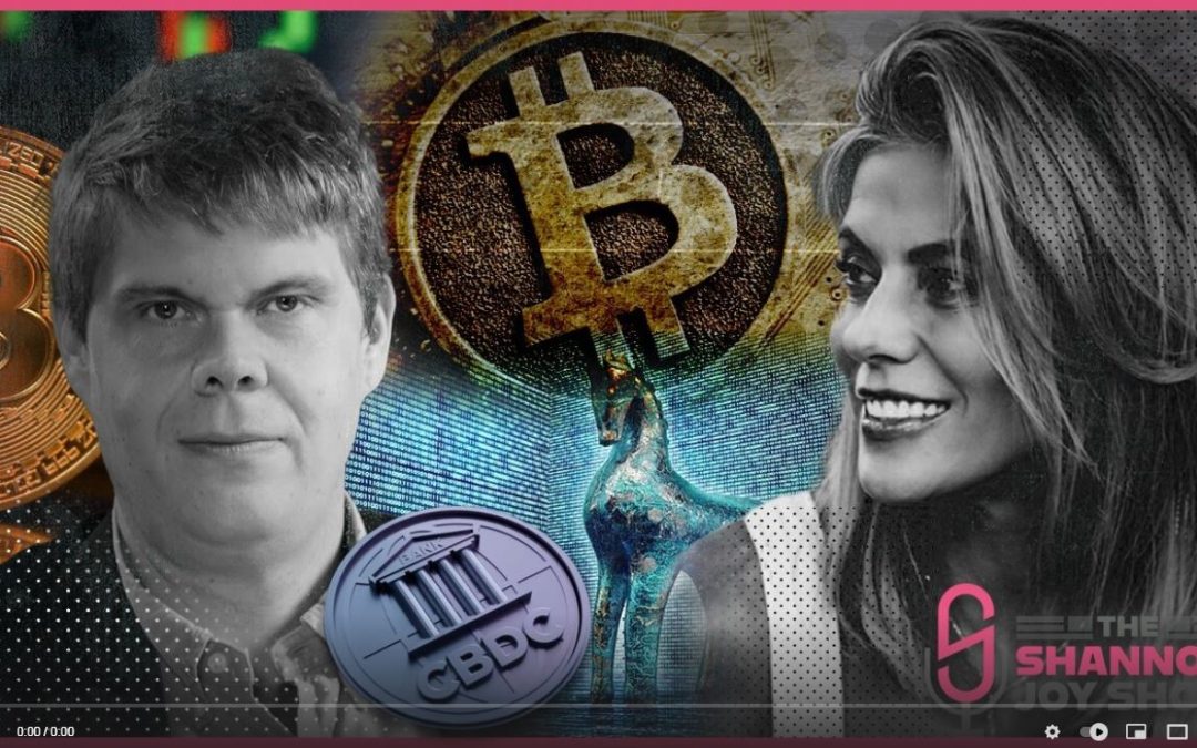 Is Bitcoin The Trojan Horse For CBDC & Mass Digital Surveillance? W/Crypto Expert Aaron Day